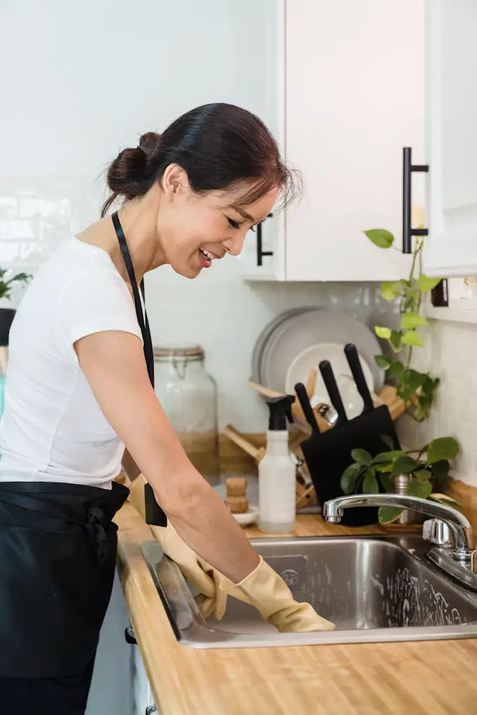 Happy Woman Cleaning the Sink